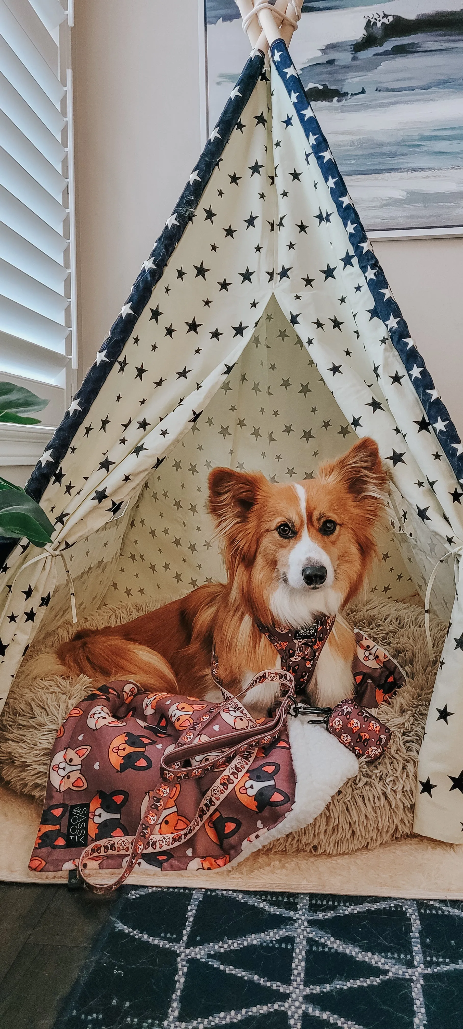 Dog Blanket - Cuddly Corgis