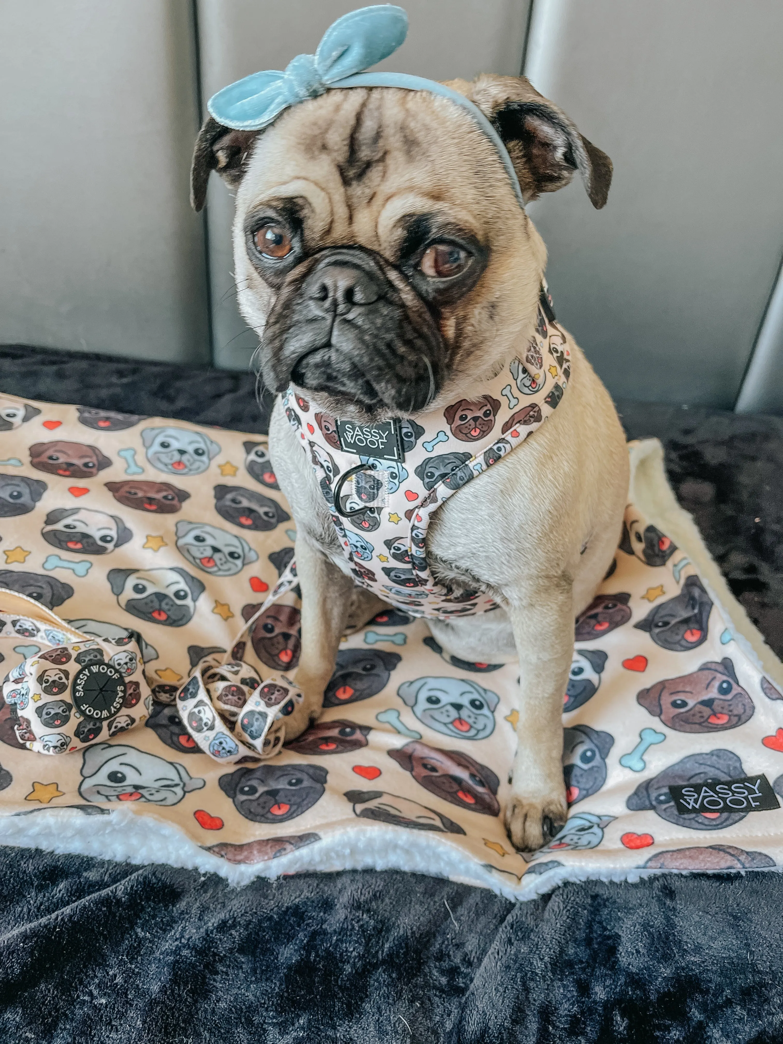 Dog Blanket - It's a Pug's Life