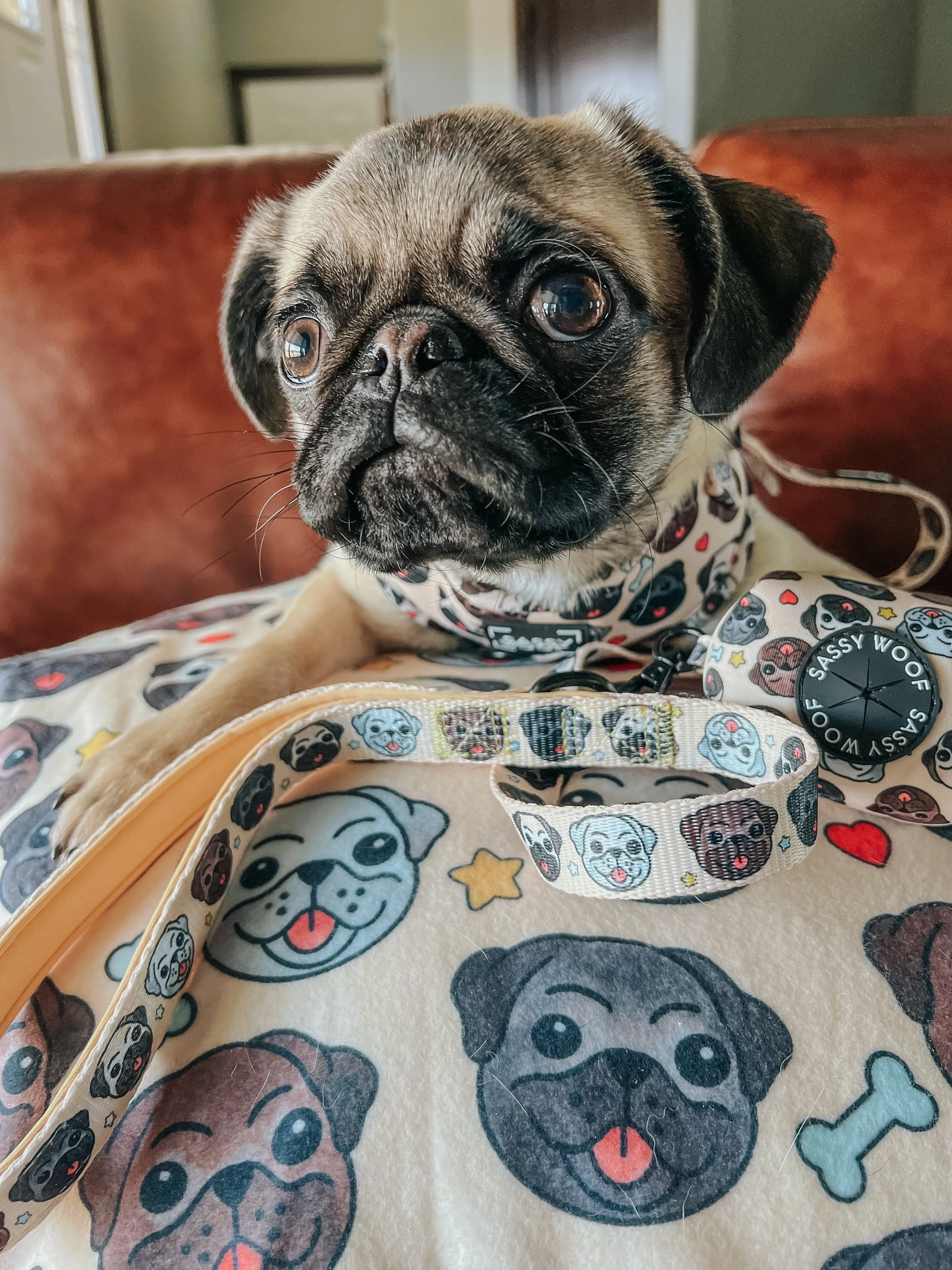 Dog Blanket - It's a Pug's Life