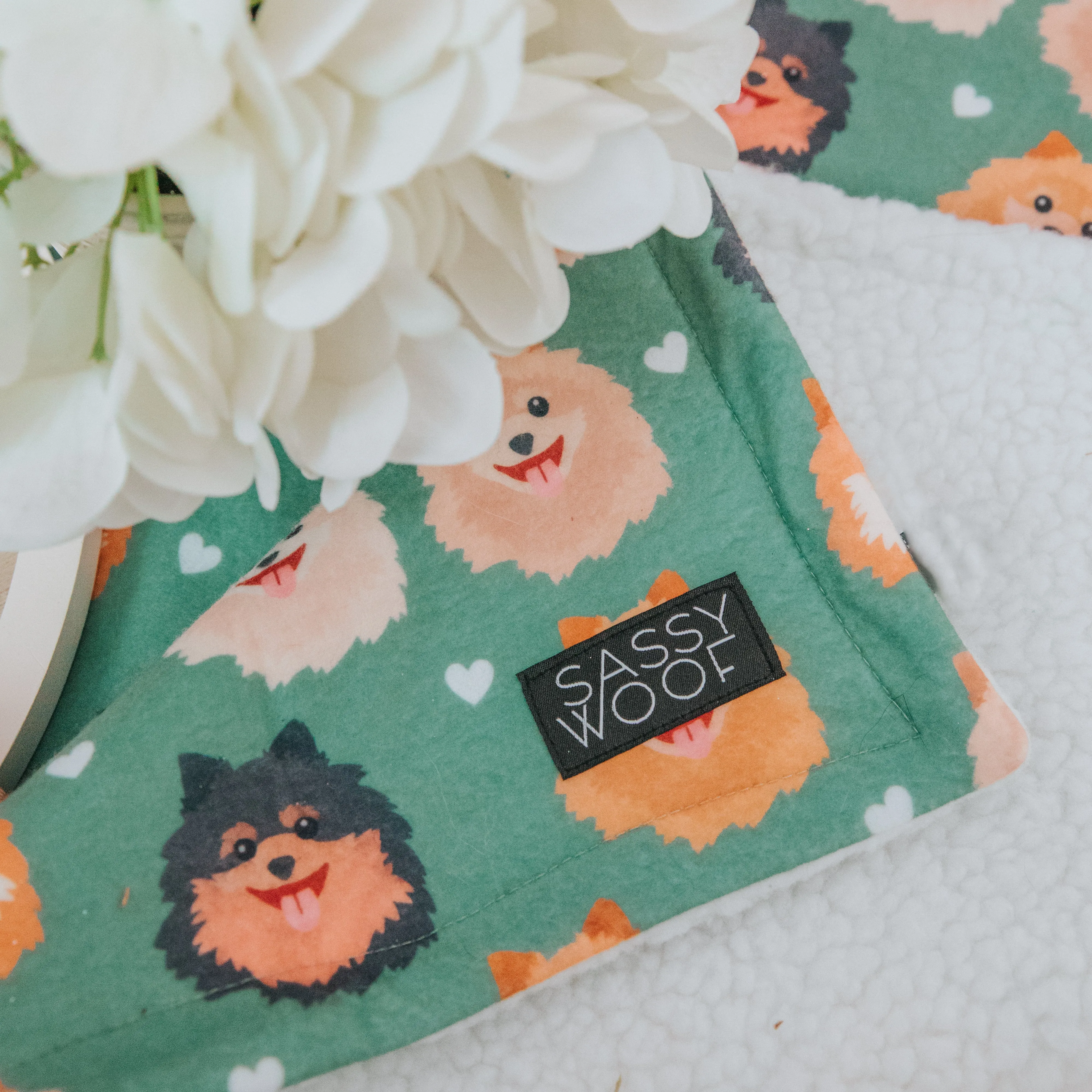 Dog Blanket - Pawfect Poms