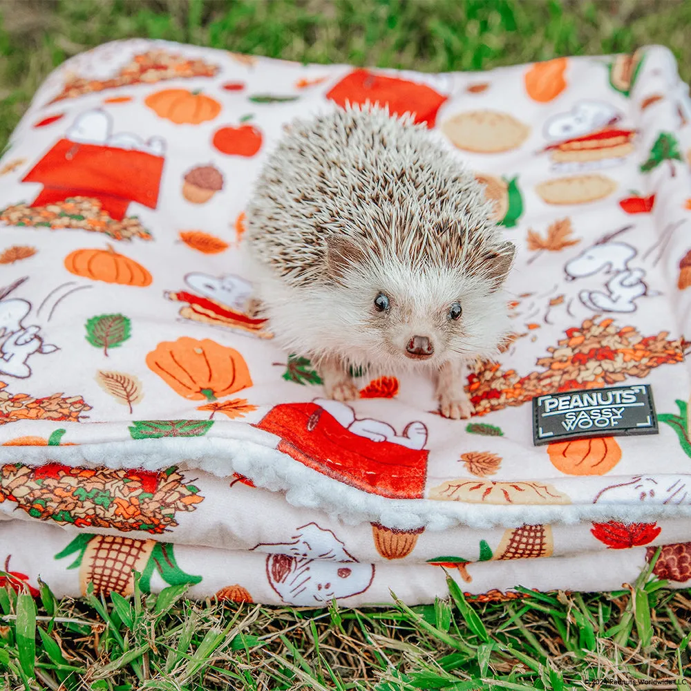 Dog Blanket - Peanuts™ Harvest