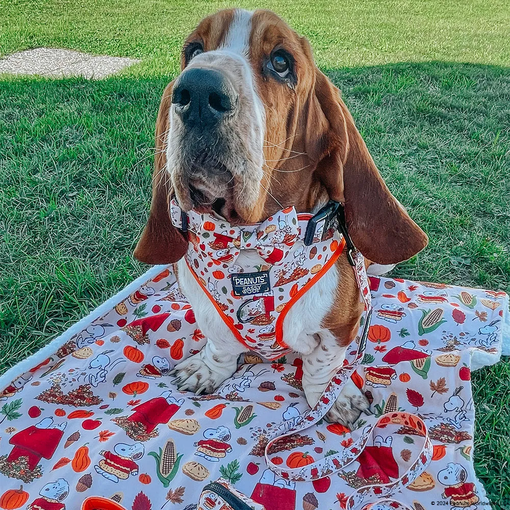 Dog Blanket - Peanuts™ Harvest