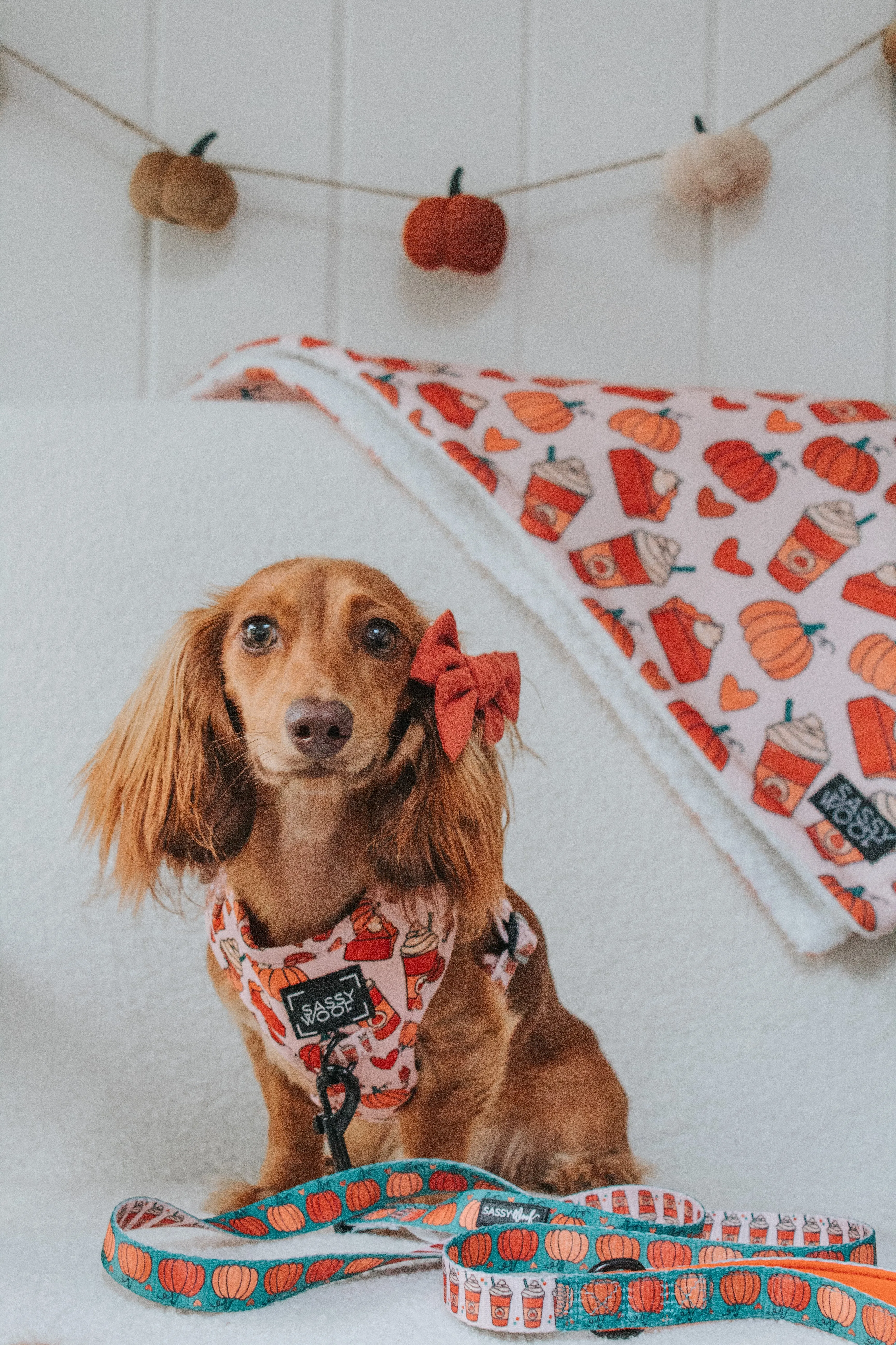 Dog Blanket - Pie There!