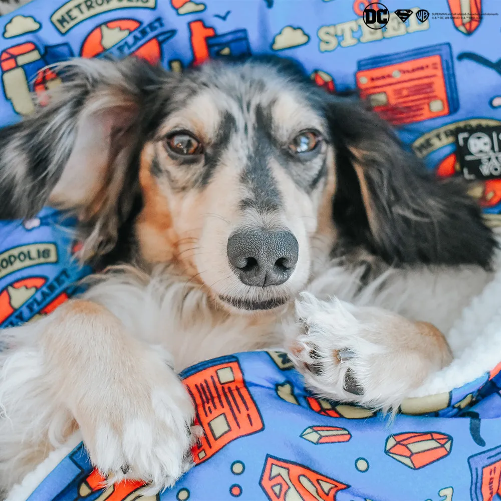 Dog Blanket - Superman™