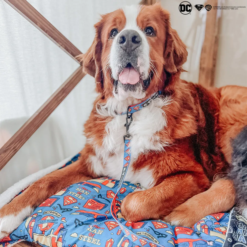 Dog Blanket - Superman™