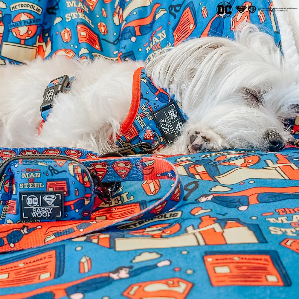 Dog Blanket - Superman™