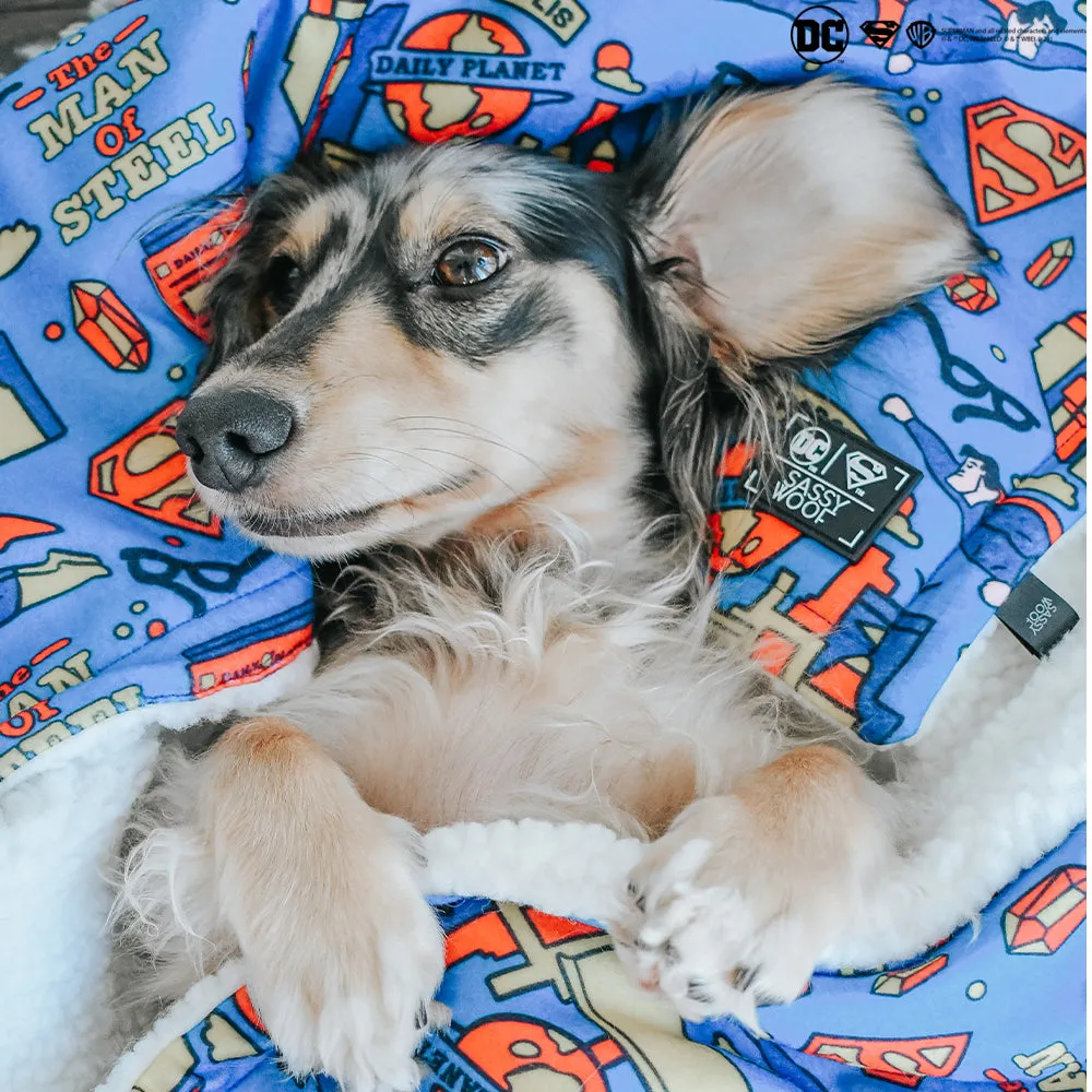 Dog Blanket - Superman™