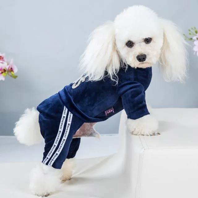 Fashion Coord Dogs Hoodie Sweatshirt & pants/Dog Clothes