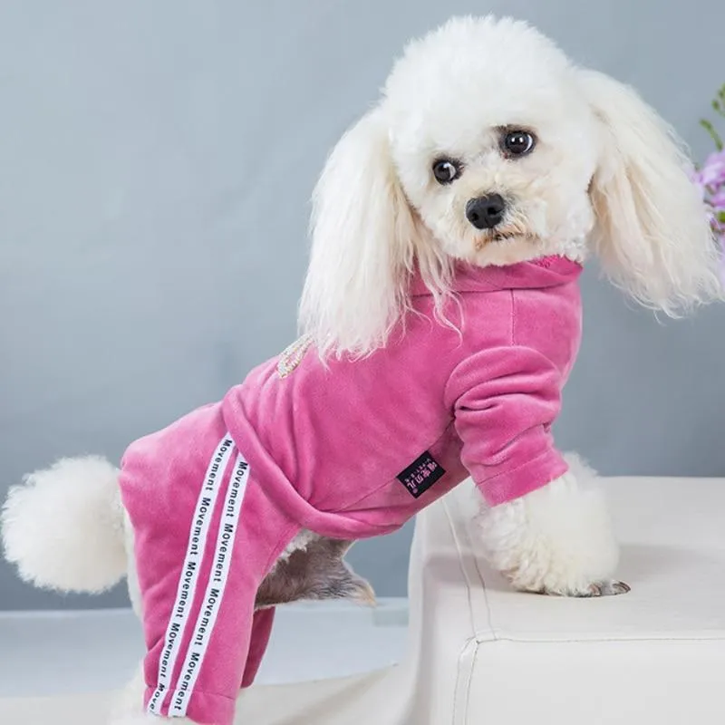 Fashion Coord Dogs Hoodie Sweatshirt & pants/Dog Clothes