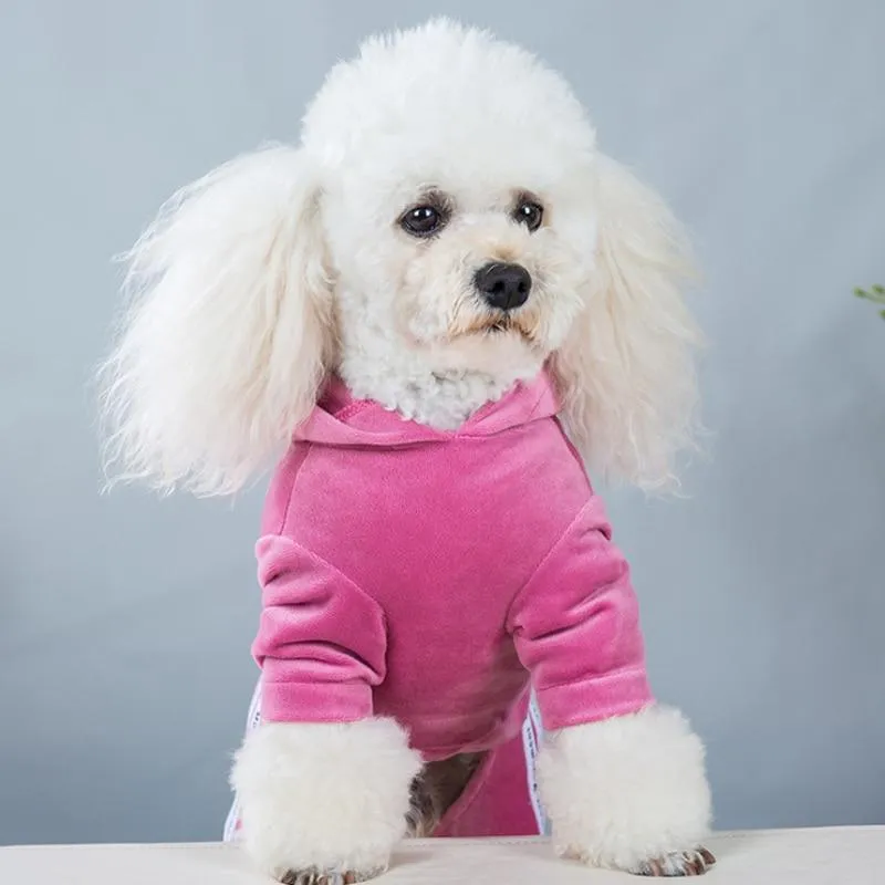 Fashion Coord Dogs Hoodie Sweatshirt & pants/Dog Clothes