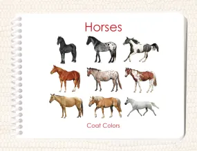 Horses (Coat Colors) Book