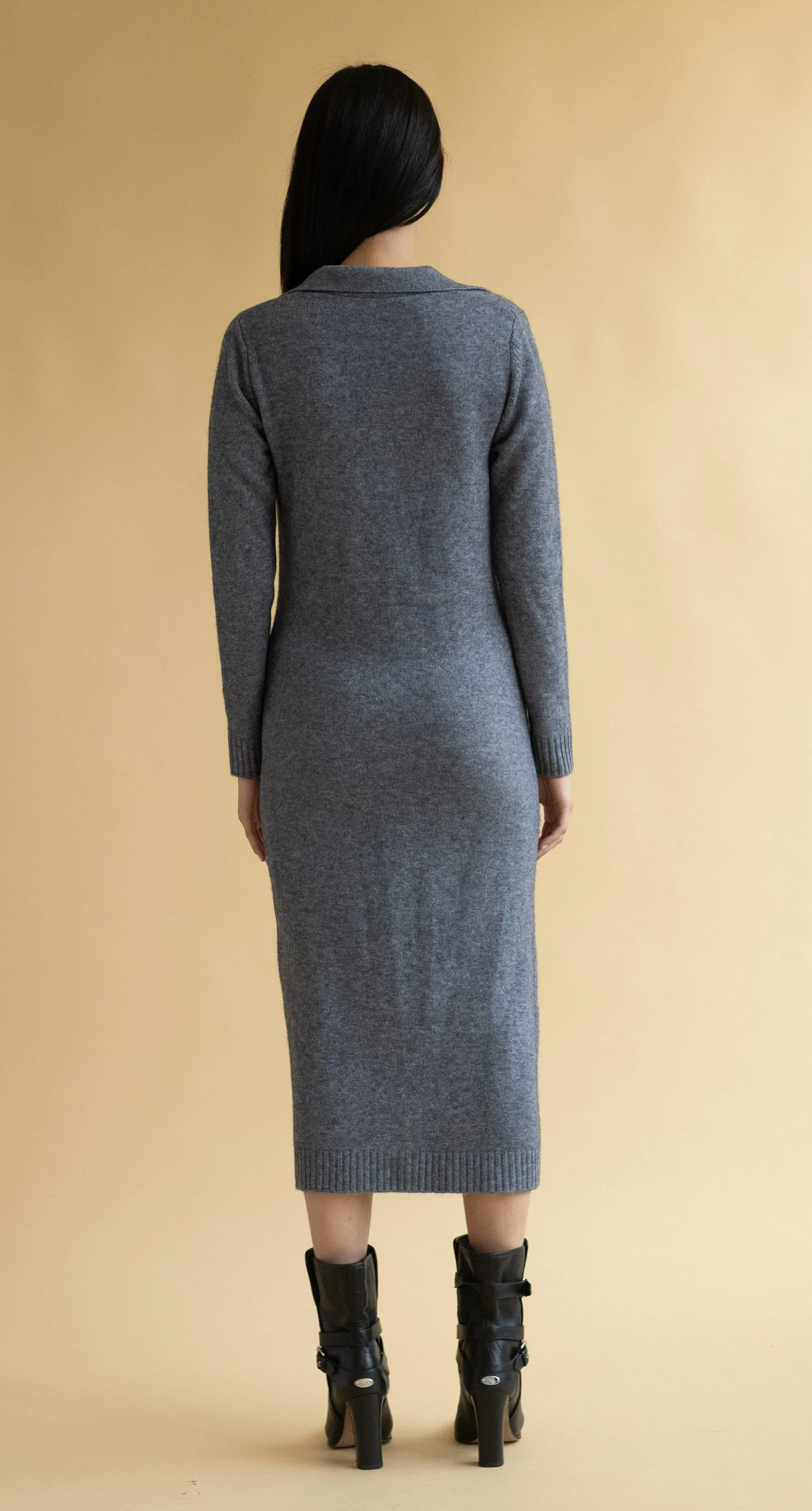 Polo Sweater Dress