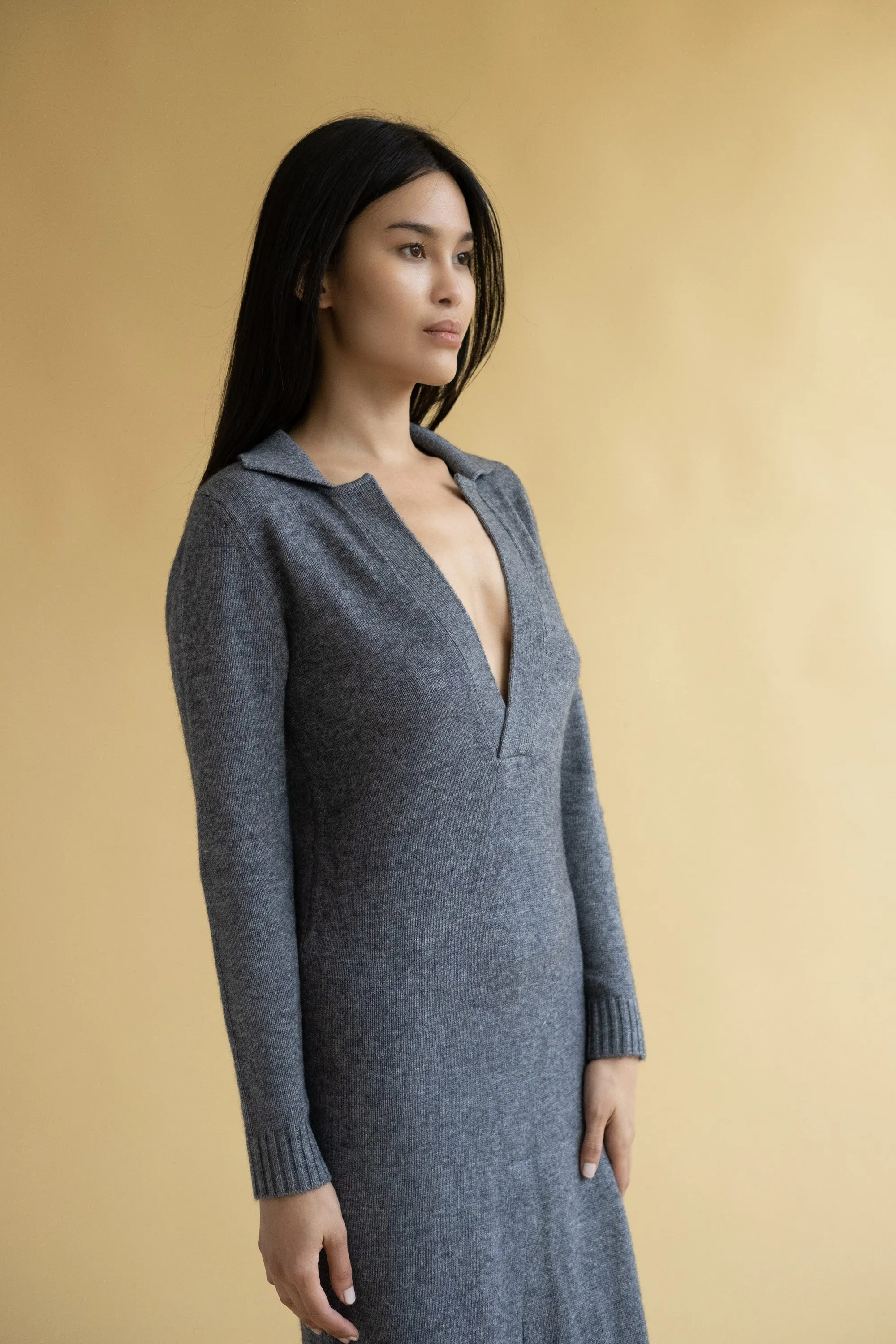 Polo Sweater Dress